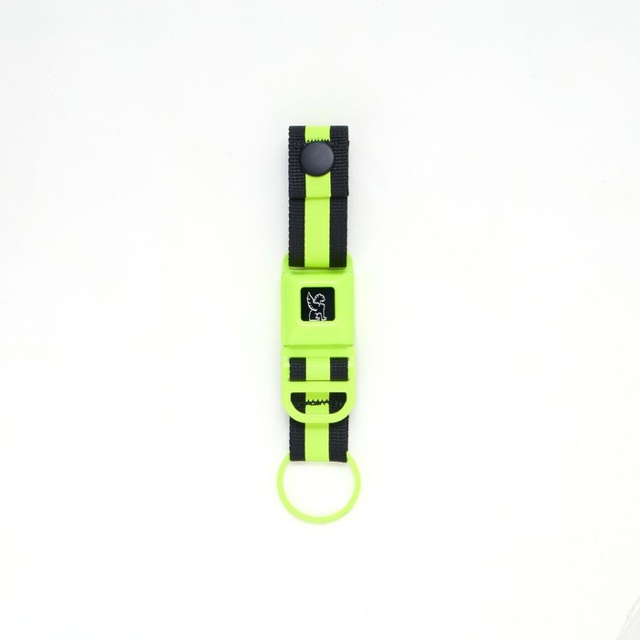 MINI BUCKLE KEY CHAIN