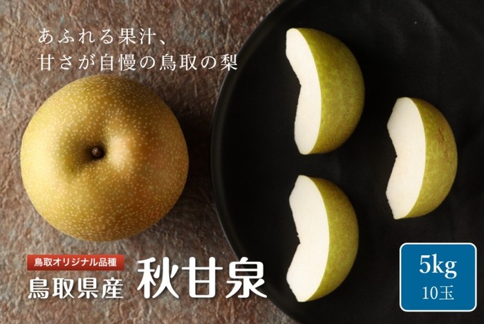 鳥取県産 秋甘泉