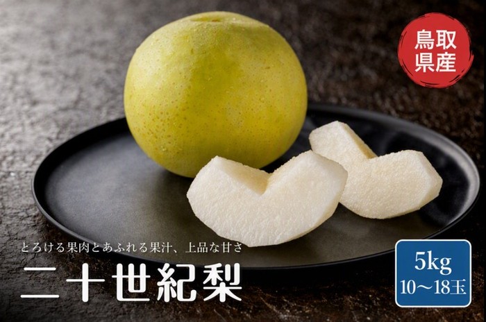 鳥取県産 二十世紀梨