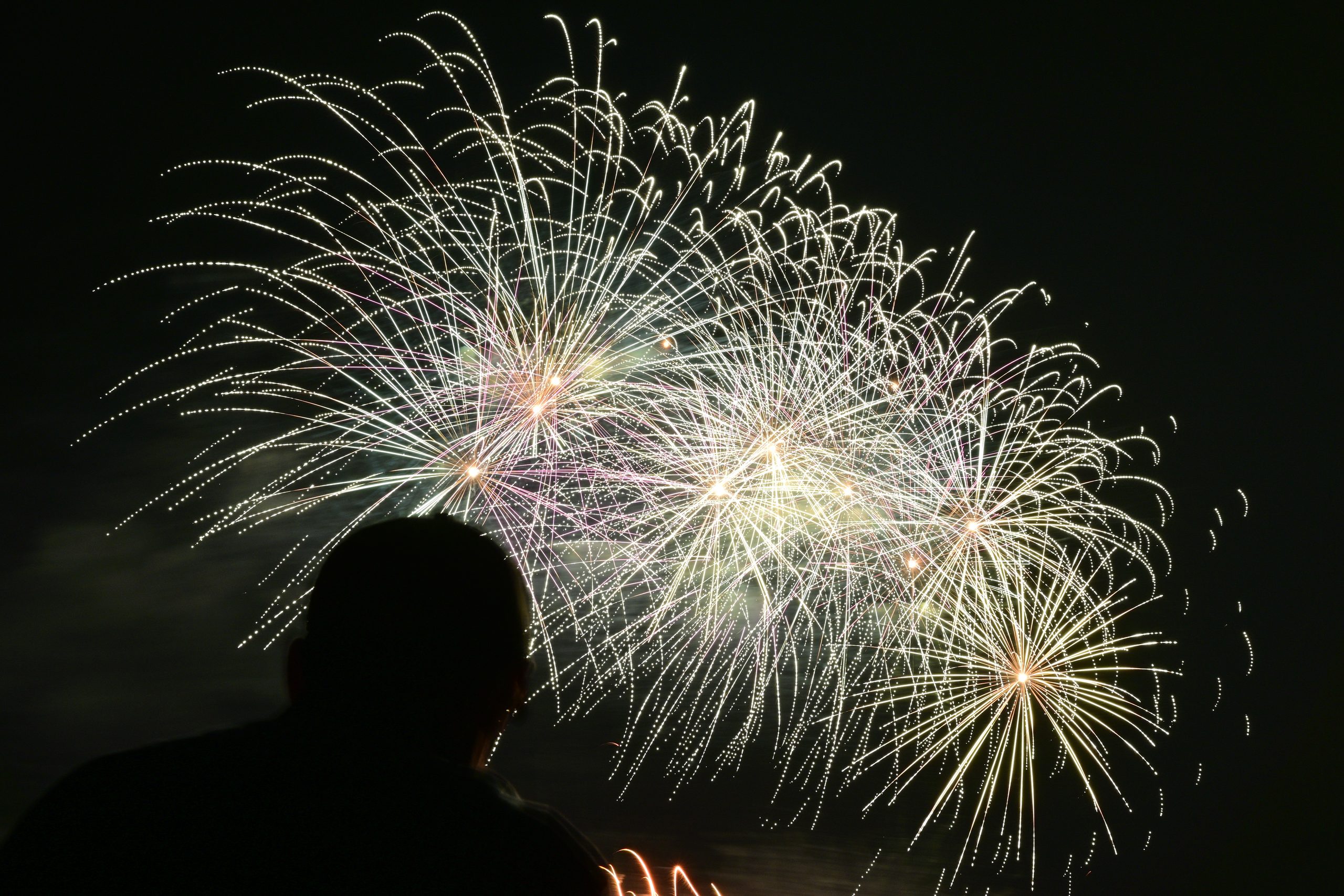 2026年10月24日/撮影:大谷優太