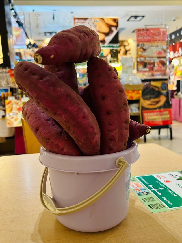 画像1
