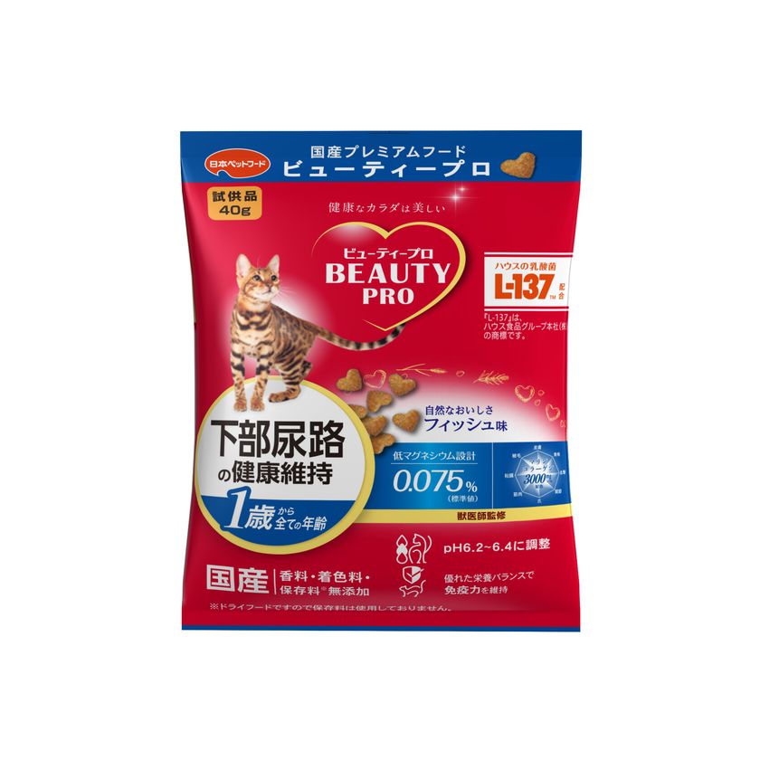 画像12