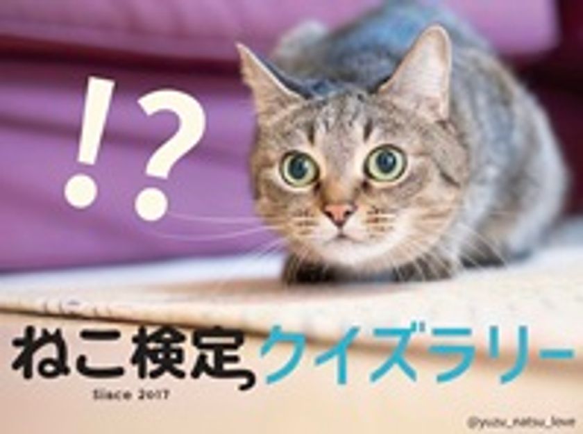 画像13