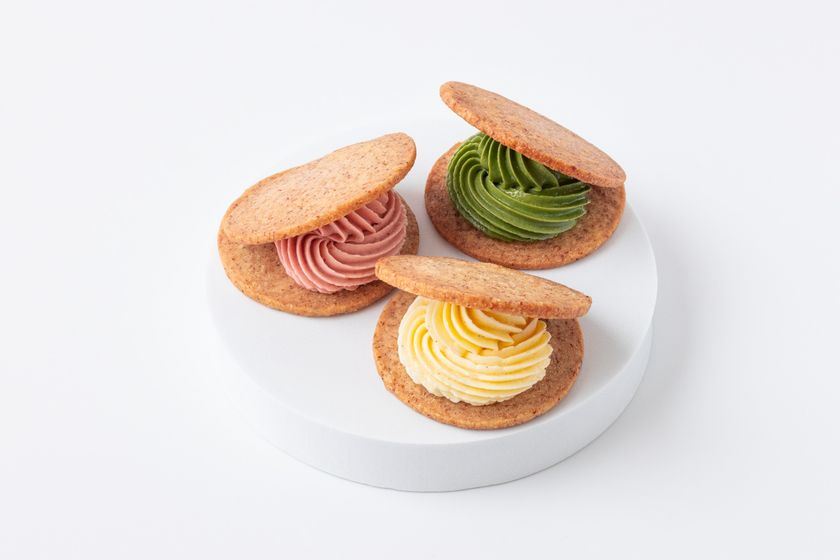 画像8