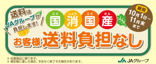 国消国産お客様送料負担なし