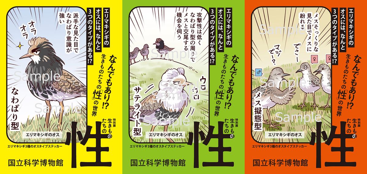 画像7