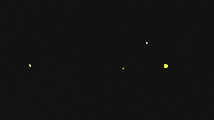 夜空を彩る“帰ってきたホタル”(6/17 OA分)