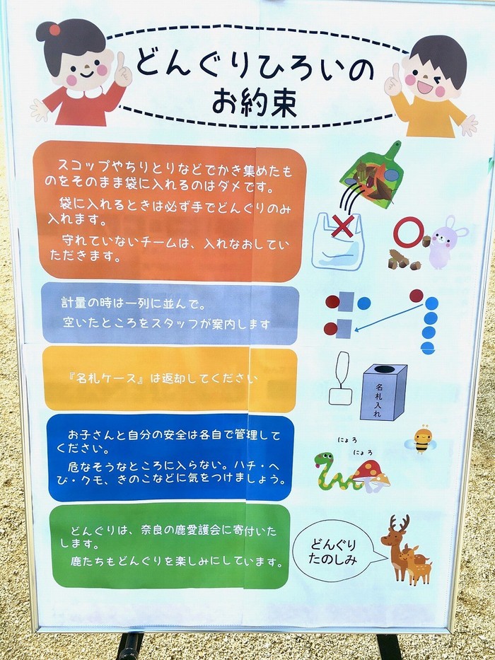 どんぐりひろいの注意事項