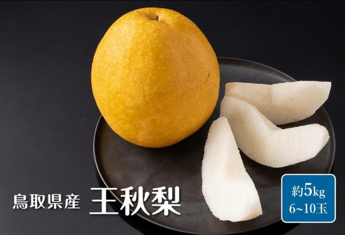 鳥取県産 王秋梨